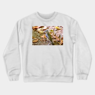 Tufted Titmouse in Woodland Leaves Crewneck Sweatshirt